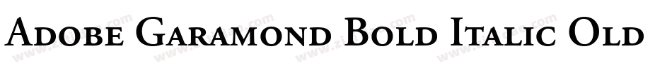 Adobe Garamond Bold Italic Oldstyle Figures字体转换